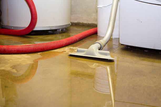 Best Water damage restoration near me  in Boutte, LA