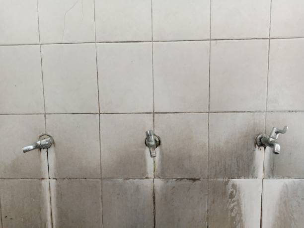 Best Ceiling water damage repair  in Boutte, LA