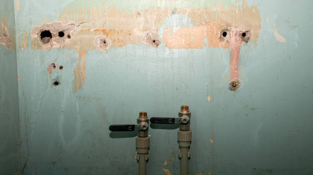 Best 24-hour water damage restoration  in Boutte, LA