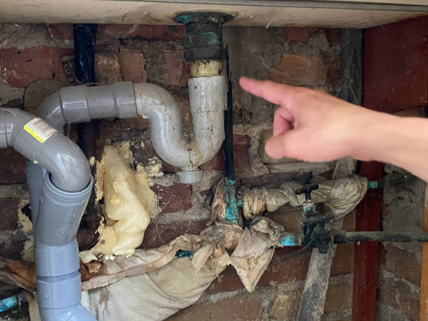 Best Water damage mitigation services  in Boutte, LA